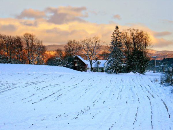 Snowy field in front of house in New England