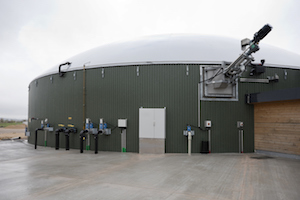 Anaerobic digesters convert animal and food waste into biogas that can be used to fuel vehicles, generate electricity, and heat homes and offices.